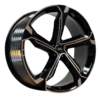 Rin 22x9.5 FBX150-22 2252MF50 CB 66.5 BMF